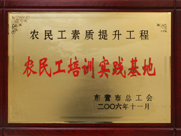2006��11����ѵʵ�ʻ���